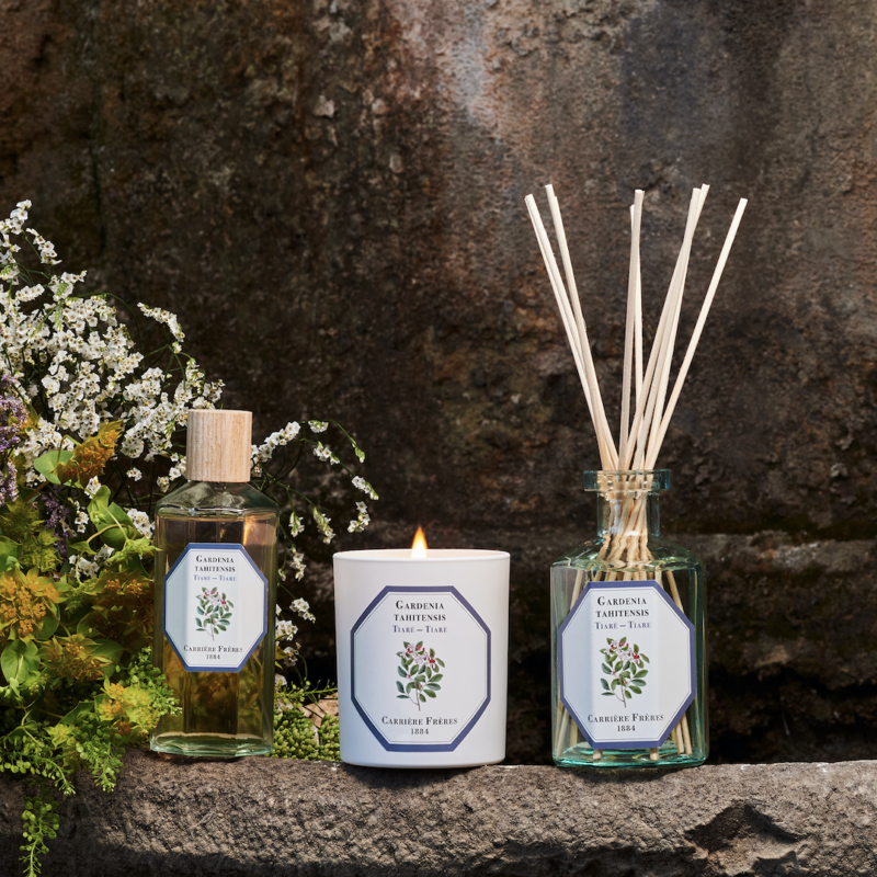 Carriere Freres Tiare Diffuser