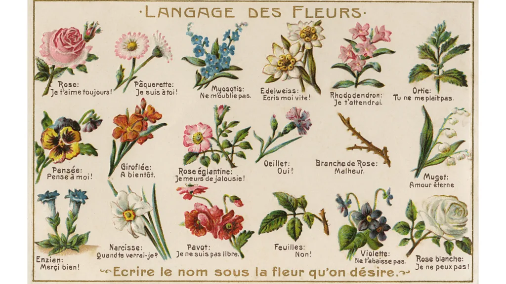 victorian floriography