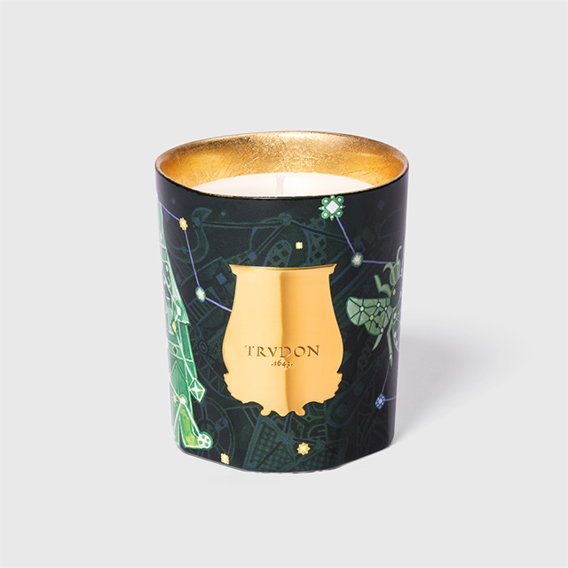 Trudon Fir Candle 270g Holiday 2025 - Image 2