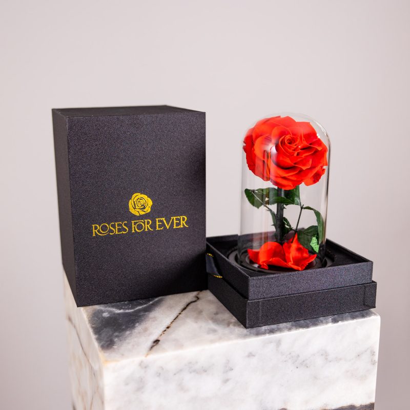 Valentine's Day Single Everlasting Rose Dome Mini