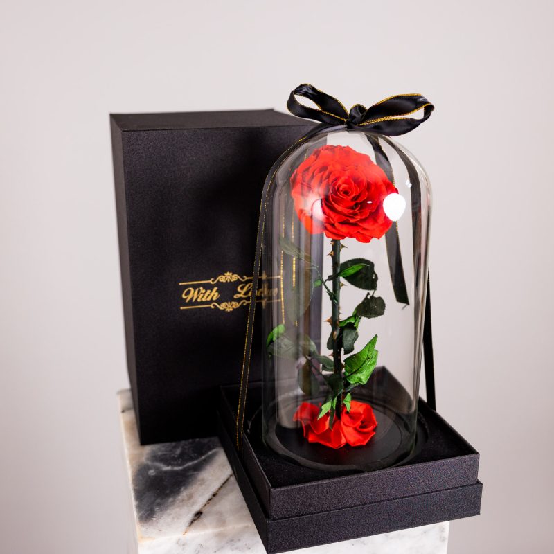 Valentine's Day Single Everlasting Rose Dome